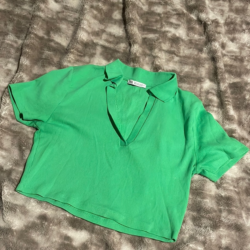 Zara crop top